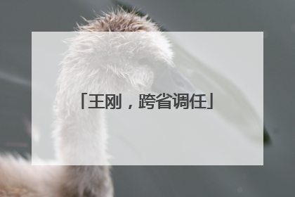 王刚，跨省调任