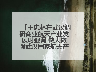 王忠林在武汉调研商业航天产业发展时强调 做大做强武汉国家航天产业基地 打造具有全国影响力的“中国星谷”
