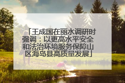 王成国在丽水调研时强调：以更高水平安全和法治环境服务保障山区海岛县高质量发展
