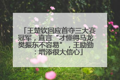王楚钦回应首夺三大赛冠军，直言“才懂得马龙樊振东不容易”，王励勤：增添很大信心