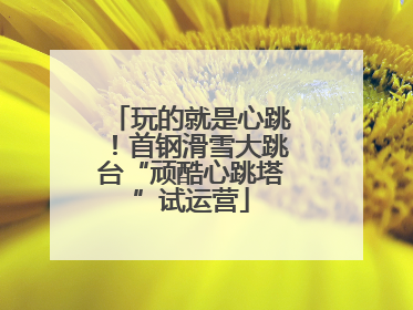 玩的就是心跳！首钢滑雪大跳台“顽酷心跳塔”试运营