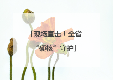 现场直击！全省“硬核”守护