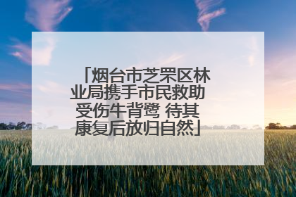 烟台市芝罘区林业局携手市民救助受伤牛背鹭 待其康复后放归自然