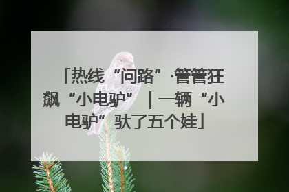 热线“问路”·管管狂飙“小电驴”｜一辆“小电驴”驮了五个娃