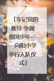 牢记党的教导 争做强国少年——向阳小学举行入队仪式