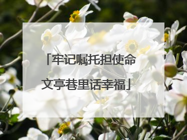 牢记嘱托担使命 文亭巷里话幸福