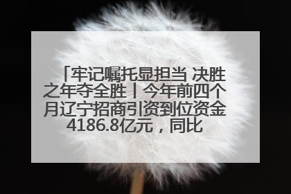 牢记嘱托显担当 决胜之年夺全胜丨今年前四个月辽宁招商引资到位资金4186.8亿元，同比增长17.4%