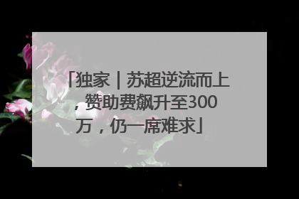 独家｜苏超逆流而上，赞助费飙升至300万，仍一席难求
