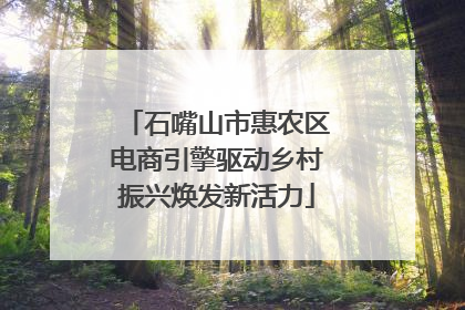 石嘴山市惠农区电商引擎驱动乡村振兴焕发新活力
