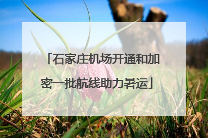 石家庄机场开通和加密一批航线助力暑运