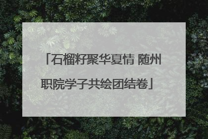 石榴籽聚华夏情 随州职院学子共绘团结卷