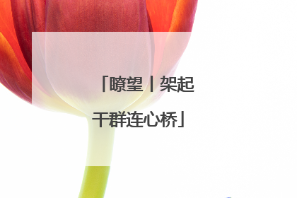 瞭望丨架起干群连心桥