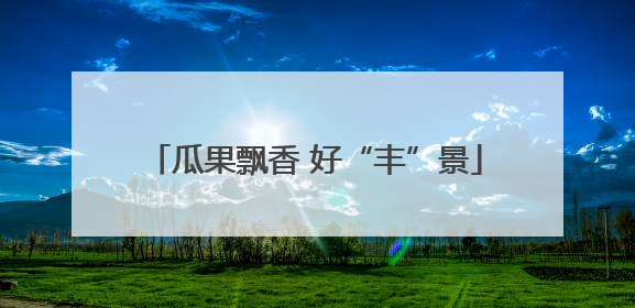 瓜果飘香 好“丰”景