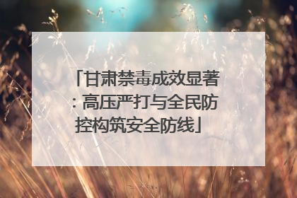 甘肃禁毒成效显著：高压严打与全民防控构筑安全防线