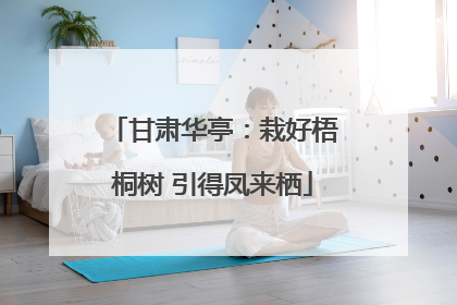 甘肃华亭：栽好梧桐树 引得凤来栖