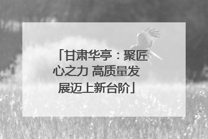 甘肃华亭：聚匠心之力 高质量发展迈上新台阶
