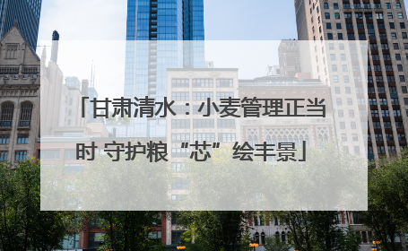 甘肃清水：小麦管理正当时 守护粮“芯”绘丰景