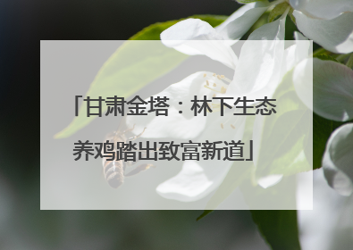 甘肃金塔：林下生态养鸡踏出致富新道