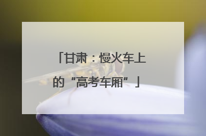 甘肃：慢火车上的“高考车厢”