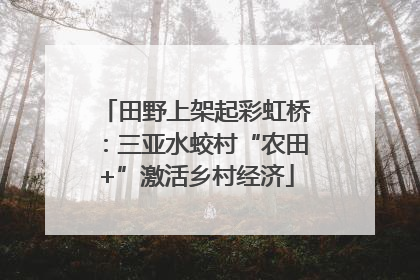 田野上架起彩虹桥：三亚水蛟村“农田+”激活乡村经济