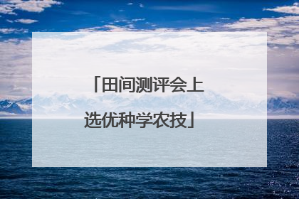 田间测评会上选优种学农技