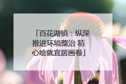 百花湖镇：纵深推进环境整治 精心绘就宜居画卷