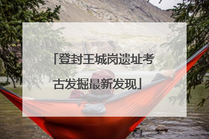 登封王城岗遗址考古发掘最新发现