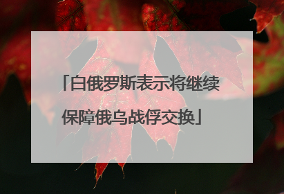 白俄罗斯表示将继续保障俄乌战俘交换