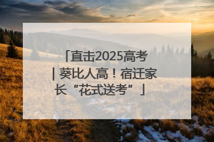 直击2025高考｜葵比人高！宿迁家长“花式送考”