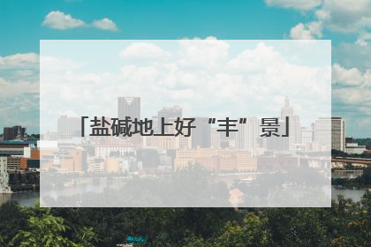 盐碱地上好“丰”景