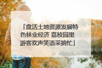 盘活土地资源发展特色林业经济 荔枝园里游客欢声笑语采摘忙