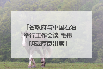 省政府与中国石油举行工作会谈 毛伟明戴厚良出席
