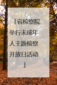 省检察院举行未成年人主题检察开放日活动
