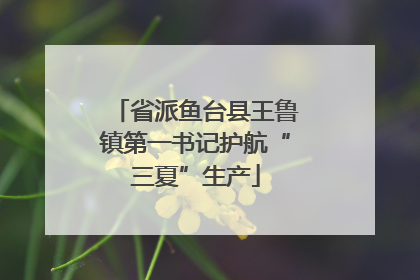 省派鱼台县王鲁镇第一书记护航“三夏”生产