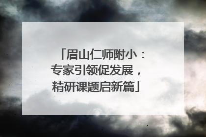 眉山仁师附小：专家引领促发展，精研课题启新篇
