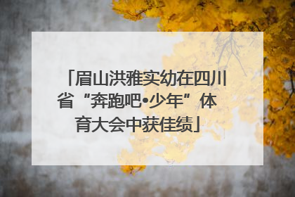 眉山洪雅实幼在四川省“奔跑吧•少年”体育大会中获佳绩