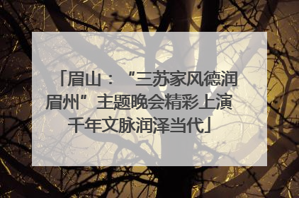 眉山：“三苏家风德润眉州”主题晚会精彩上演千年文脉润泽当代