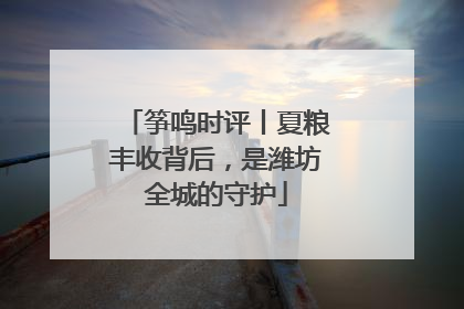 筝鸣时评丨夏粮丰收背后，是潍坊全城的守护