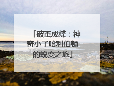 破茧成蝶：神奇小子哈利伯顿的蜕变之旅