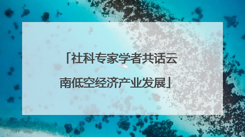 社科专家学者共话云南低空经济产业发展