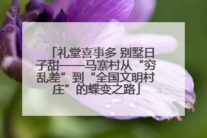 礼堂喜事多 别墅日子甜——马寨村从“穷乱差”到“全国文明村庄”的蝶变之路