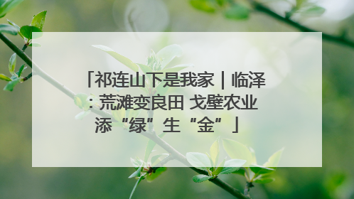 祁连山下是我家｜临泽：荒滩变良田 戈壁农业添“绿”生“金”