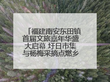 福建南安东田镇首届文旅嘉年华盛大启幕 圩日市集与杨梅采摘点燃乡村振兴新动能