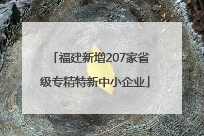 福建新增207家省级专精特新中小企业