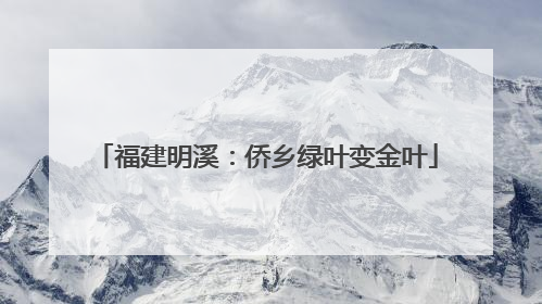 福建明溪：侨乡绿叶变金叶