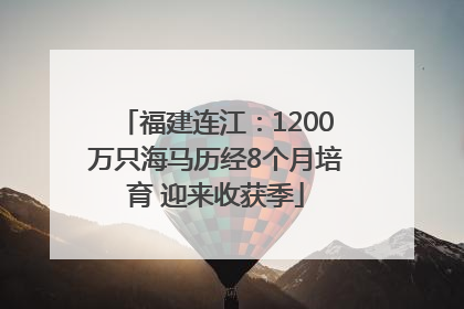 福建连江：1200万只海马历经8个月培育 迎来收获季