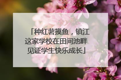 种红薯摸鱼，镇江这家学校在田间池畔见证学生快乐成长