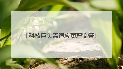 科技巨头需适应更严监管