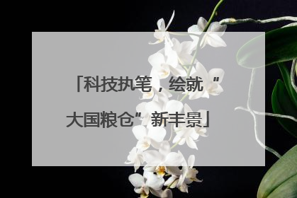 科技执笔，绘就“大国粮仓”新丰景