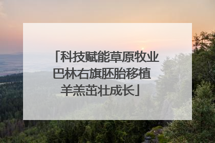 科技赋能草原牧业 巴林右旗胚胎移植羊羔茁壮成长